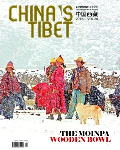 China's Tibet (English) - Airmail