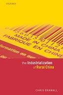 The Industrialization of Rural China