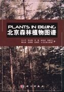 Plants in Beijing