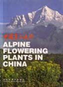 Alpine Flowering Plants in China