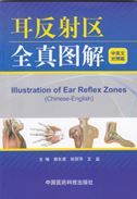 Illustration of Ear Reflex Zones
