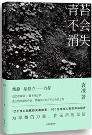 Qingtai bu hui xiaoshi 