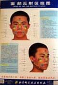 Chart of the Face Reflective Zones