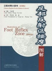 Illustrations of Foot Reflex Zone Massage