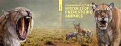 PNSO Super Lift-the-Flap：Mysteries of Prehistoric Animals