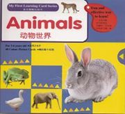 My First Learning Cards - Animals