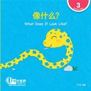 World Chinese Graded Readers  Level 3 - What Does It Look Like?